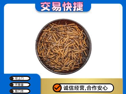 文山回收散虫草